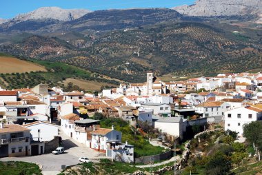 Zeytinlik ve arka, Rio Gordo dağlara beldesi görünümünü