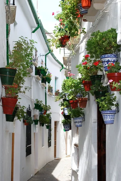 Enge straße mit hübschen blumen in töpfen an der hauswand im viertel villa, priego de cordoba. — Stockfoto