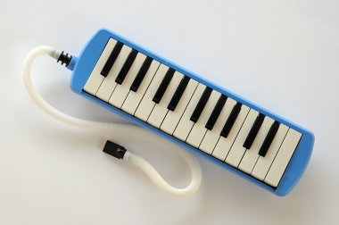 Mavi ve beyaz Pianica darbe organı.