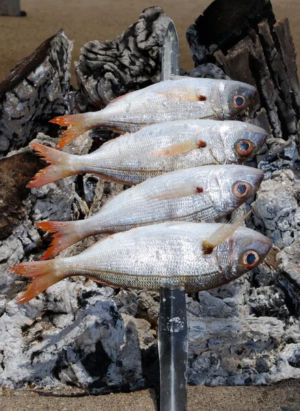 Fish cooking on a skewer in BBQ boat on beach, Fuengirola. — Stock Photo, Image