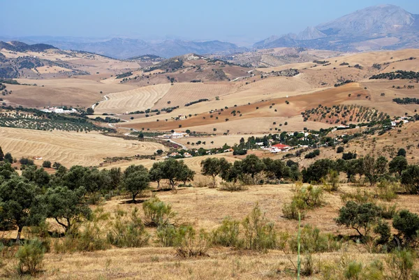 View of wheat fields and mountains, Almogia. — Stock Photo, Image