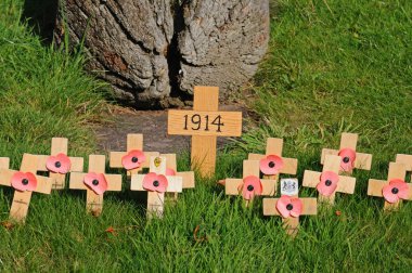 Poppies on crosses commemorating the start of World War I in 1914 in the grounds of the Collegiate Church of St Mary, Stafford. clipart