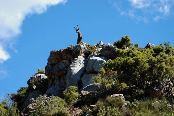 Estatua de cabra en la cima de una montaña, Refugio de Juanar, Cerca de Marbella . — Foto de Stock