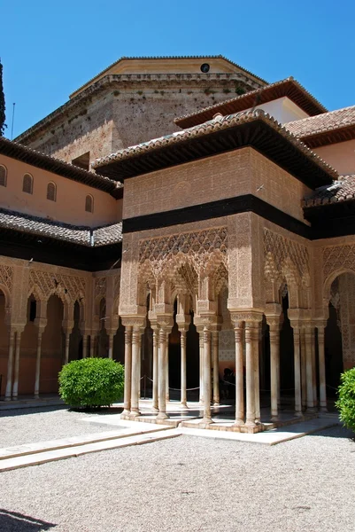 Мраморные арки, образующие арки, окружающие двор Льва (Patio de los leones), Дворец Альгамбра, Гранада . — стоковое фото