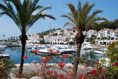 Ön planda palmiye ağaçları ile marina demirlemiş tekneler, Marina del Este.