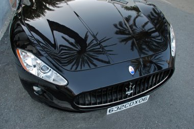 Palmiye ağaçları bir Maserati araba, Puerto Banus kaputuna yansıyan.