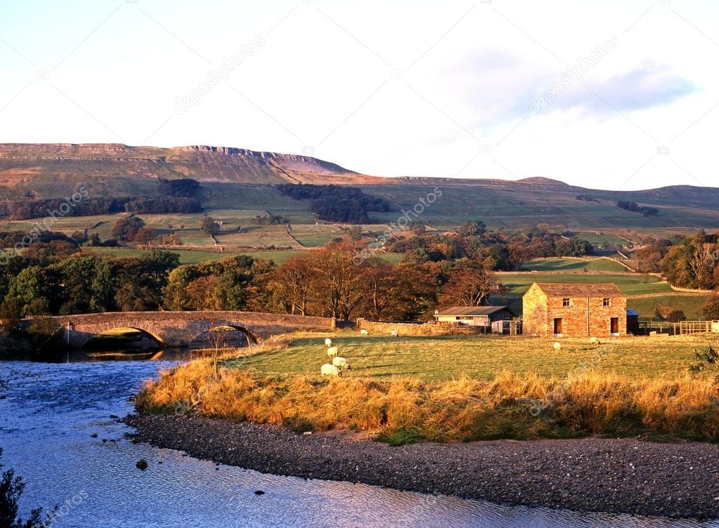 Farm alongside the River Ewer at Hawes, Yorkshire Dales.