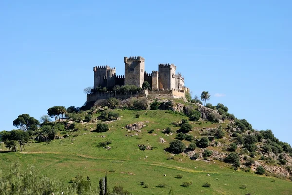 Uitzicht op het kasteel op de top van de heuvel, Almodovar del Rio, Spanje. — Stockfoto