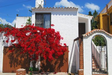 Villa begonvil, Urb kaplı. Calypso, İspanya.