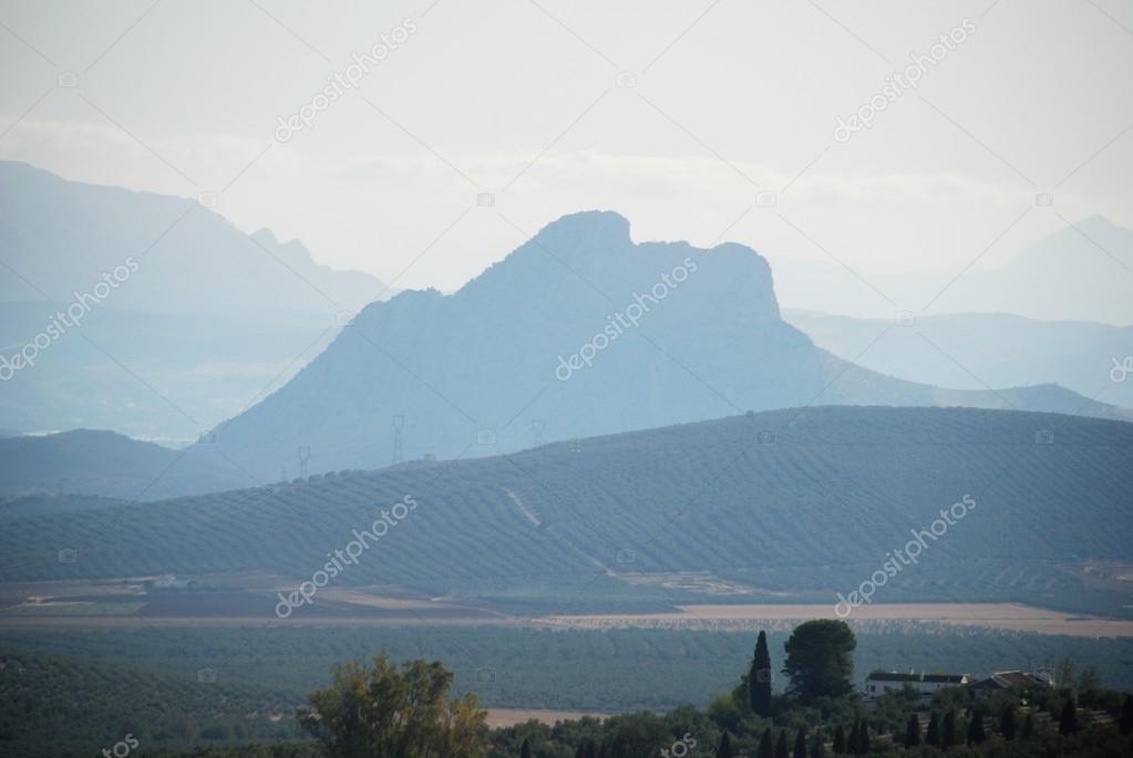 View of Lovers Mountain with olive groves in the foreground, Antequera.