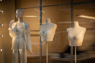 Milan, İtalya - 2026, 3 Şubat: Intimissimi FW25 iç çamaşırı sergisinde zarif dantelli mankenler, ince dokular ve modern lüks eğilimler ön plana çıkarılıyor