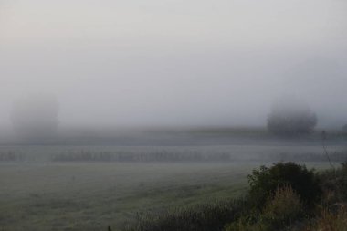 Sis ovayı suyla kaplar. Uzakta ağaçlar ve çalılar sisi gözetliyor, derinlik ve huzurlu bir hava yaratıyor..