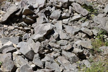 Large pile of gray and light-brown stones and rock fragments. Some stones are large, others small. Top shows small patch of green vegetation.