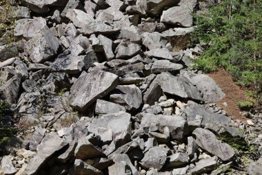 Large pile of gray and light-brown stones and rock fragments. Some stones are large, others small. Top shows small patch of green vegetation.
