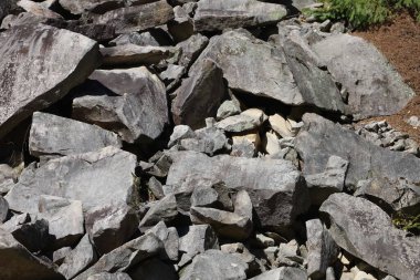 Large pile of gray and light-brown stones and rock fragments. Some stones are large, others small. Top shows small patch of green vegetation.