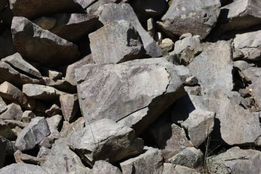 Large pile of gray and light-brown stones and rock fragments. Some stones are large, others small. Top shows small patch of green vegetation.