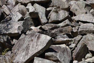 Large pile of gray and light-brown stones and rock fragments. Some stones are large, others small. Top shows small patch of green vegetation.