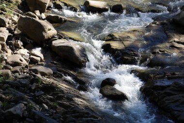 Mountain Bystrytsia River flows rapidly among large rocks. Clear water creates white foam and splashes, conveying motion and natural power.
