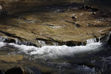 Bystrytsia River flows through rocky riverbed, forming small cascades and foamy rapids. Banks feature large stones and tree roots, creating a natural landscape.