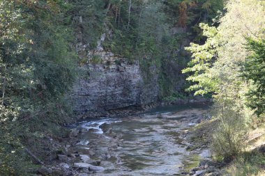 River flows through forested area. Left bank rocky, right bank gentle with vegetation, clear water with stones on the riverbed.