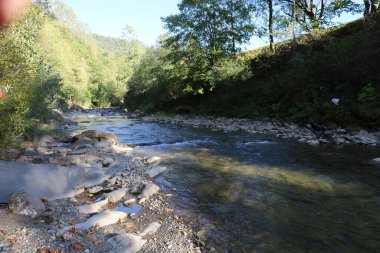 Mountain river flows through dense forest, clear water with bluish tint. Rocky banks with large boulders and small stones, sunlight creates reflections.