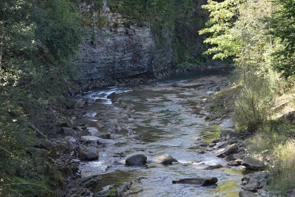River flows through forested area. Left bank rocky, right bank gentle with vegetation, clear water with stones on the riverbed.