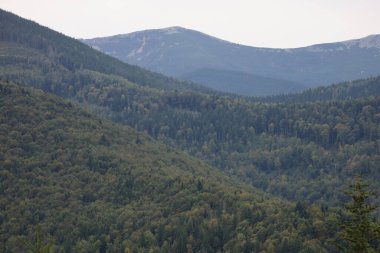 Eastern Carpathians in autumn: forested foreground, mixed trees, high mountains with rocky and snowy peaks.