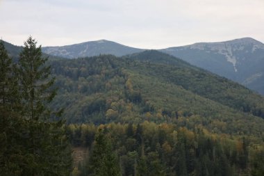 Eastern Carpathians in autumn: forested foreground, mixed trees, high mountains with rocky and snowy peaks.