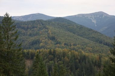 Eastern Carpathians in autumn: forested foreground, mixed trees, high mountains with rocky and snowy peaks.