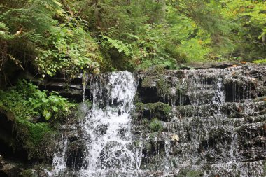 Kudrenets şelalesi Karpatlar 'daki kayaların ve sık ormanların içinden akar ve doğal bir dağ manzarası yaratır..