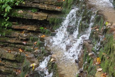 Water cascades over moss-covered rocks, forming white foam. Lush green plants surround the waterfall in a natural forest setting.