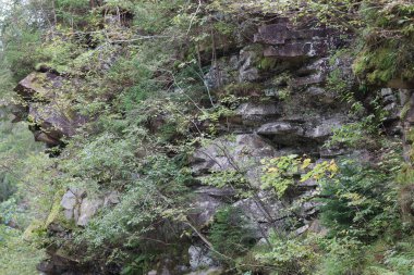 Büyük gri taşları ve yosun, çalılar ve ağaçlarla kaplı çatlakları olan kayalık yamaçlar. Yumuşak ışık, sakin ve doğal bir atmosfer yaratır..