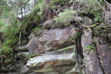 Büyük katmanlı kaya, kısmen yosun ve ağaçlarla kaplı. Güneş ışığı gölgeler yaratır, kayaların dokusunu ve şeklini vurgular..