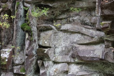 Gri kaya kayalıkları, yosunlar, yosunlar ve çatlaklarda büyüyen çalılar. Doğal ışık kayaların derinliğini ve şeklini vurgular.