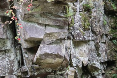 Dokulu yüzeyi, yosunları ve çatlaklarda bitkileri olan büyük taş bir duvar. Güneş ışığı, kayaların derinliğini vurgulayan gölgeler oluşturur..