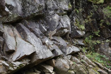 Gri ve koyu kahverengi taşları olan büyük kayalık bir uçurum. Yosun ve küçük bitki örtüsü yüzeyde büyür. Uçuruma doğal bir görünüm kazandırır..