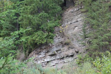 Eğimli katmanlı kayalık yamaç, kısmen ladin benzeri kozalaklı ağaçlar ve diğer bitki örtüsüyle kaplı..