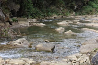 Karpatlar 'daki Zelenytsia Nehri vahşi doğayı sembolize eder. Saf su, yeşil yamaçlar ve dağ sessizliği onu eko-turizm ve rahatlama için mükemmel kılar..