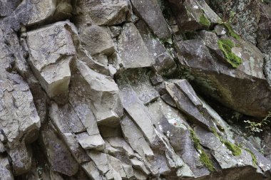 Karpatlar 'daki Zelenytsia Nehri' nin yukarısında bir kaya parçası. Çatlak, çatlak ve yeşil yosunlu olaysız yüzey taşların dokusunu ve doğal güzelliğini ön plana çıkarıyor..