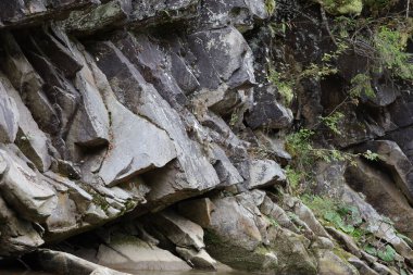 Dağ yamacında beyaz tortulu koyu ıslak taşlar ve bitkiler. Vahşi doğanın doğal güzelliği detaylı kaya dokusunda gösterilir..