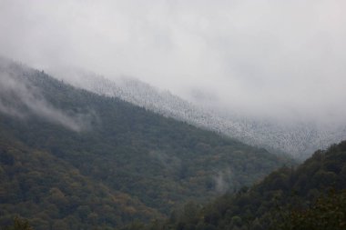 Yoğun ormanlı Karpatya dağları: alçak yamaçlar yeşil ve sonbahar renklerini gösterir, üst yamaçlar ilk karla tozlanır. Sis ve alçak bulutlar dinamik bir dağ atmosferi yaratır..