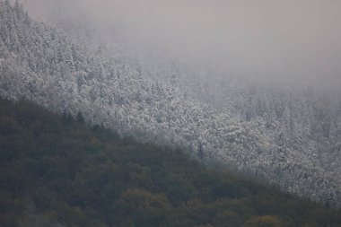 Sonbahar renkli ağaçları ve ilk karı olan Karpatya yamacı. Alçak bulutlar sisli bir atmosfer yaratır.