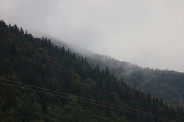 Sis ve sonbahar ormanlarıyla kaplı bir dağ yamacı. Üst ağaçlar sisle kaplanmış, alt ormanlar ön planda görünüyor..
