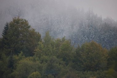 Ön planda sonbahar ağaçlarının olduğu orman ve arka planda karla kaplı ağaçlar. Sisler mevsimsel geçiş etkisi yaratır.