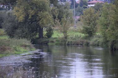 Vda Nehri, sık çimenler, ağaçlar ve sonbahar sarı yapraklarıyla kıyılar boyunca akarak huzurlu bir manzara yaratır..