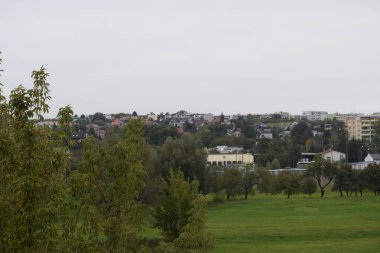 Yeşil bir tarlası, meyve ağaçları ve bulutlu bir gökyüzünün altında evleri olan banliyö manzarası..