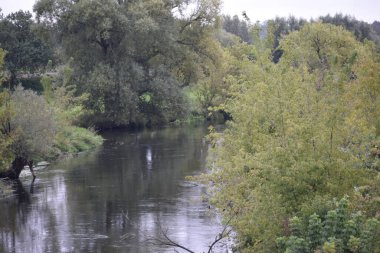 Wda Nehri sonbahar ağaçları arasında akar. Sakin su, gökyüzünü ve kıyılar boyunca renkli yaprakları yansıtır..