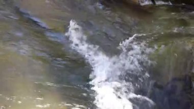 Zelnytsia dağ nehri büyük taşların ve akıntıların üzerinden akar. Su sıçrar ve köpük canlı bir doğal atmosfer yaratır..