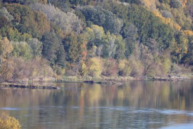 Polonya 'daki Vistula Nehri' nin sonbahar manzarası. Sakin su, sarı ve yeşil yapraklı renkli ağaçları yansıtır. Huzurlu ve huzurlu mevsimsel manzara.