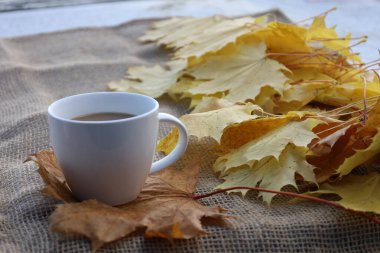 Beyaz bir fincan sıcak kahve kuru bir akçaağaç yaprağı ve kalın bir kumaşın üzerinde duruyor. Parlak sarı sonbahar yaprakları etrafını sarıp sıcak, sıcak bir sonbahar atmosferi oluşturuyor..